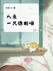 我是一架隐形飞机阅读答案