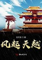 风起天阑歌词解析