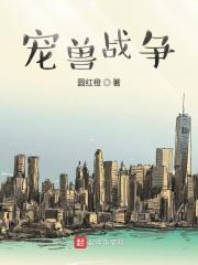 宠兽争斗平民最强阵容